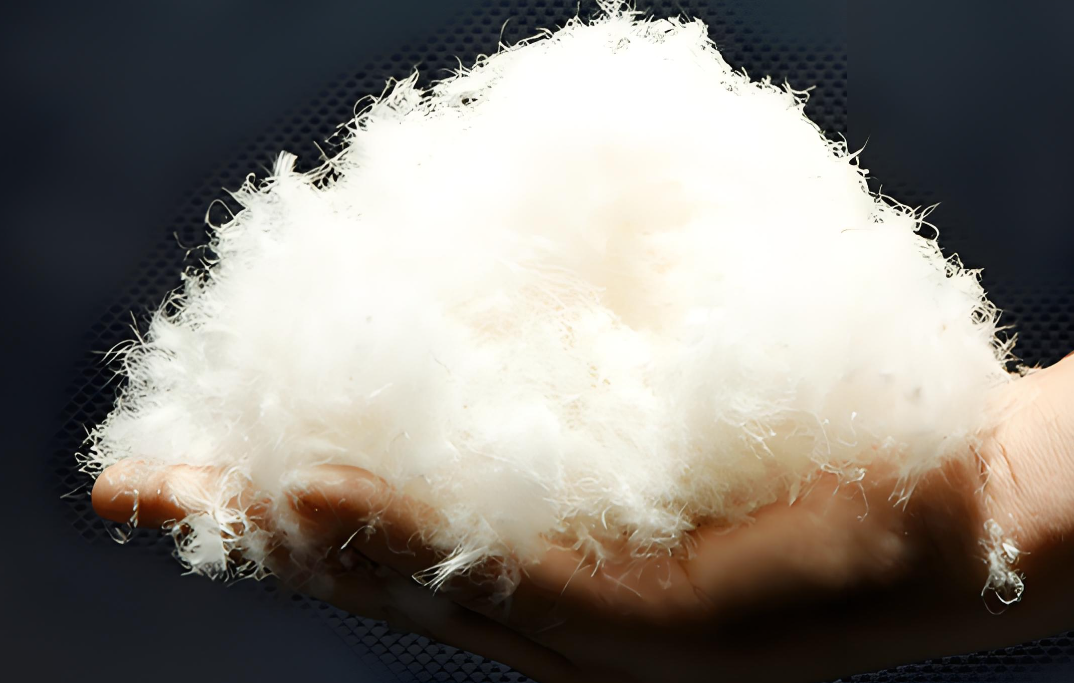 Latest company blogs about Polyester FDY: Redefining the Core Material of High-Performance Textiles