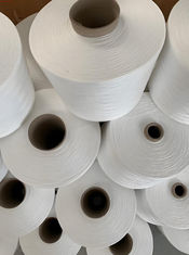 Özelleştirilmiş Tam Mat 75D 24F Polyester İplik FDY Filament İplik, Çevre Dostu ve Yüksek Performanslı Ürünler İçin