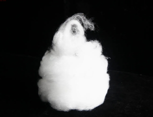 Fibre de nylon 6 blanc brut recyclée