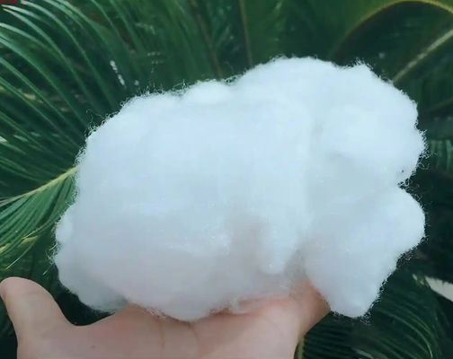 購入 カーテピラー 平面または丸 ポリエステル FDY 糸の理想的な横切りを探す online manufacture