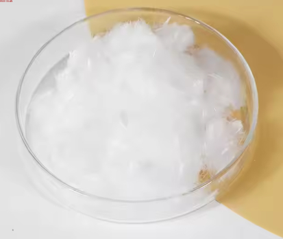 kopen Gerecyclede PA6-vezel gemaakt van afgedankt oceaanplastic en textielafval voor duurzame mode en textielproductie online manufacture