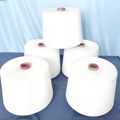 주문 2D×61MM Soft Touch and Light Resistance Acrylic Fiber online manufacture