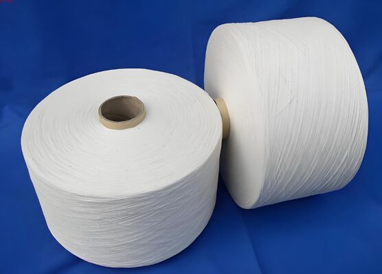 Αγορά Νάιλον 66 Staple Fiber 2D-15D Για Τεχνικά Υφάσματα online manufacture