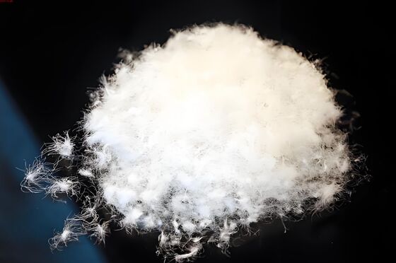 購入 DTY Polyester Yarn 150D/288F Semi-Dull online manufacture