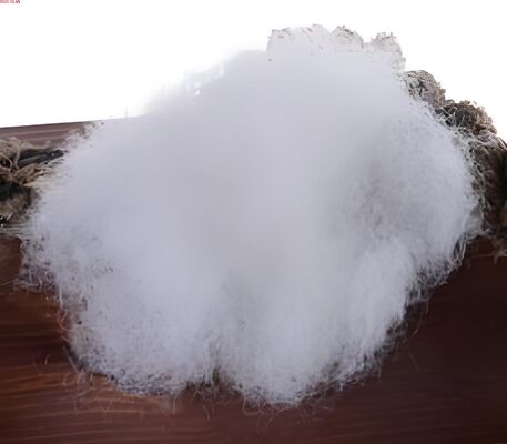 kopen Holle warme polyester stapelvezel 6D x 64 mm (met siliconen behandeld) online manufacture