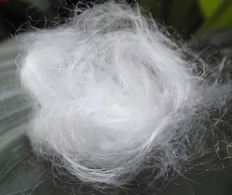 Buy High-Tenacity Nylon 6 Staple Fiber, 3D x 64mm online manufacture