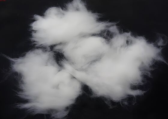 acheter Fibre de nylon régénérée - 20D/38mm online manufacture