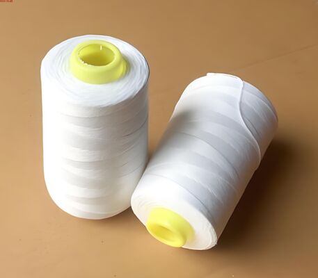Buy Nylon 66 High Tenacity Filament Yarn 840D/140F online manufacture