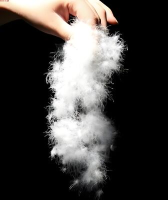 Αγορά Υψηλής ανθεκτικότητας νάιλον 66 Staple Fiber, 6,0D x 102mm, Τρίλομπαλ, ημι-καθαρό online manufacture