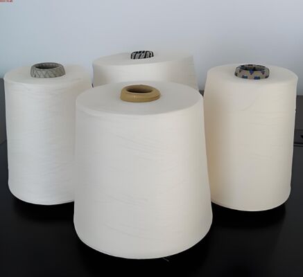 kupować 100% poliestrowy DTY 150D/48F AA online manufacture