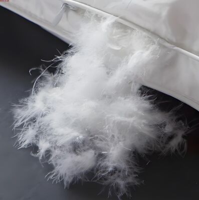 kopen PA6 V2 Flame retardant voor algemeen gebruik Nylon 6 online manufacture