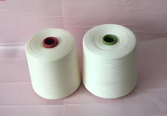 ซื้อ ไนลอน 6/66 โคพอลิเมอร์จุดหลอมเหลวต่ำ online manufacture