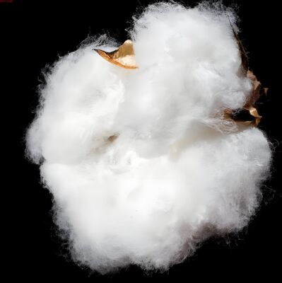 Buy Bright 3D × 64mm Nylon 66 Staple Fiber (for Woolen Spinning) online manufacture