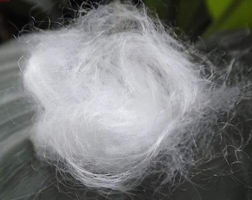 ซื้อ สายใยอะคริลิคสเตปล 3 มิลิเมตร × 64 มิลลิเมตร ซิลิคอน online manufacture