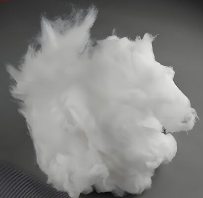 comprare Fibra di nylon 6 riciclata      Eco-friendly for spinning online manufacture