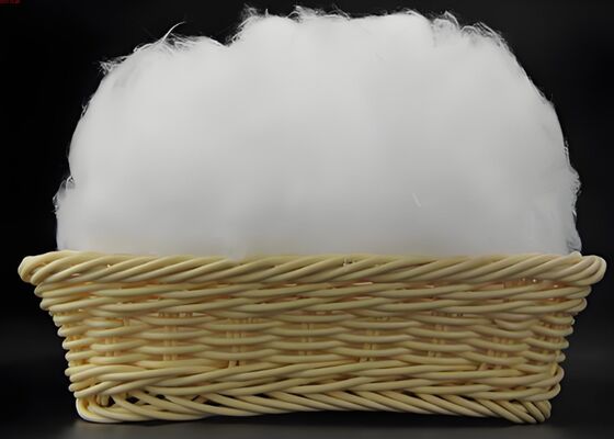 comprare Nylon 6/66 Flock Tow 10D × 50mm Semilucido Sezione Rotonda Bianco Naturale online manufacture
