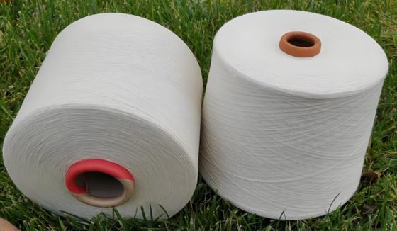 Advanced Spinning Technology 75D36F Polyester FDY Yarn For Custom Special Requirement And Fabrics And Winding Equipment