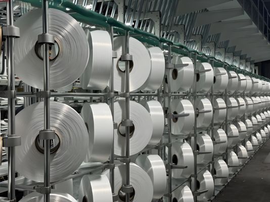 Polyester FDY Yarn 100% Virgin Or Recycled 210D48F Bright/Semi Dull/Full Dull Flat/Round/Hollow Raw White For Cartepilar Cross Section