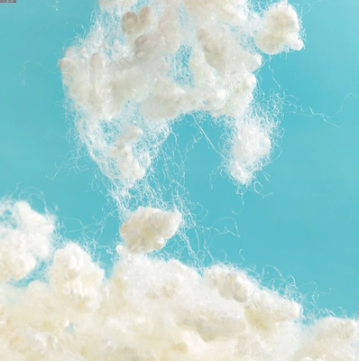 Nylon Staple Fiber 1.2D-80D for Spinning with Anti-Static Properties