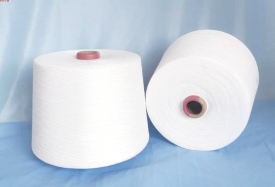 3D Hollow Polyester Staple Fiber (51mm)