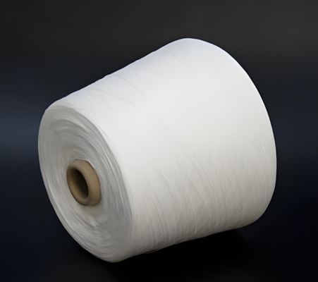 Elastic and Abrasion Resistant PA6 Nylon Staple Fiber for Industrial Applications