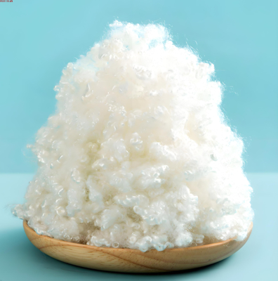 Hollow Conjugated PET Staple Fiber (6D-20D)