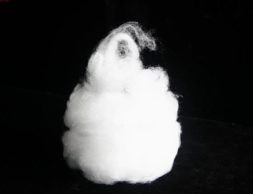 Recycled Raw White Nylon 6 Fiber