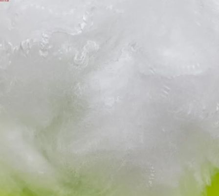 1.2D High-Quality Antibacterial Anti-Bacterial PP/PE Bicomponent Es Polyester Staple Fiber
