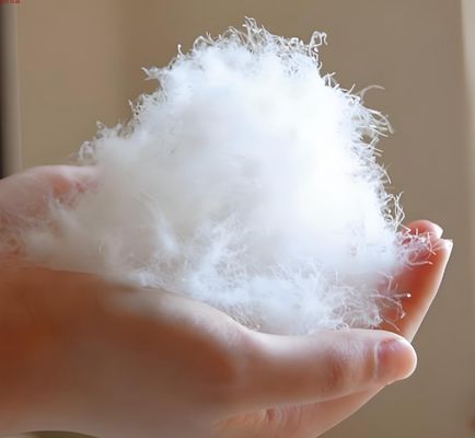 Recycled Polyester Staple Fiber: Compliant with Google Standards