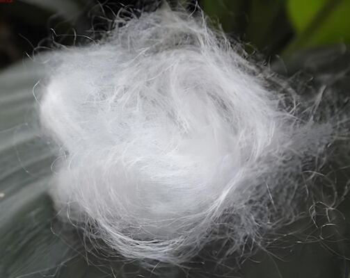 1.5D × 38mm High-Whiteness Bright Acrylic Fiber | Bulkiness ≥12cm³/g, Specially for Premium Blankets and Toy Fillings