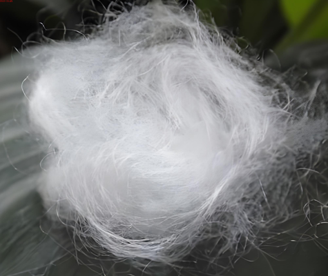 High-Tenacity Nylon 6 Staple Fiber, 3D x 64mm