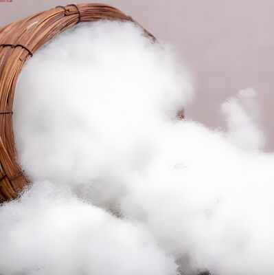 2D × 51mm Flame Retardant Acrylic Fiber