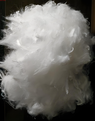 Nylon 6 Staple Fiber 6D x 76mm Semi-Dull / Crimped for Nonwoven