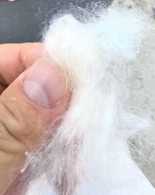 3D × 51mm Bright Round Nylon Staple Fiber